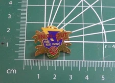 Great In-N-Out Tournament of Roses Parade Rose Bowl Pin 1988