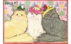 The North Shore Animal League Hello! Cats Postcard