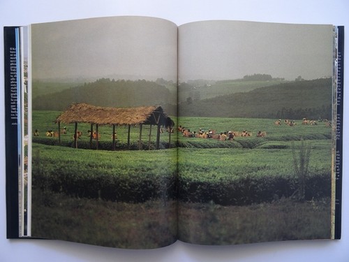 Western Books  Kenyan Photobook African Nature Animals Scenery Scenery - Foto 8 di 10