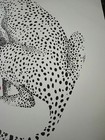Picture 6 of 8