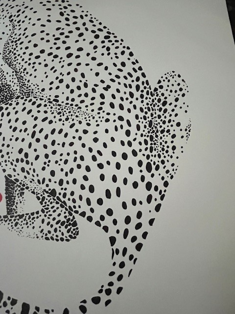 Picture 6 of 8
