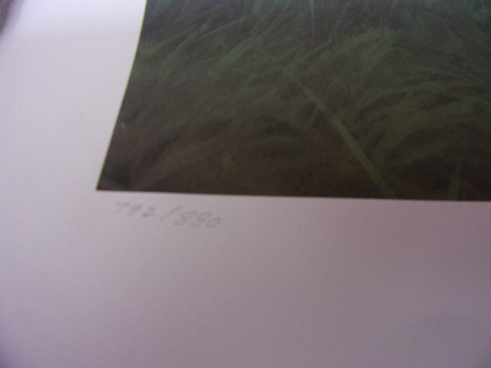 Bild 5 von 12