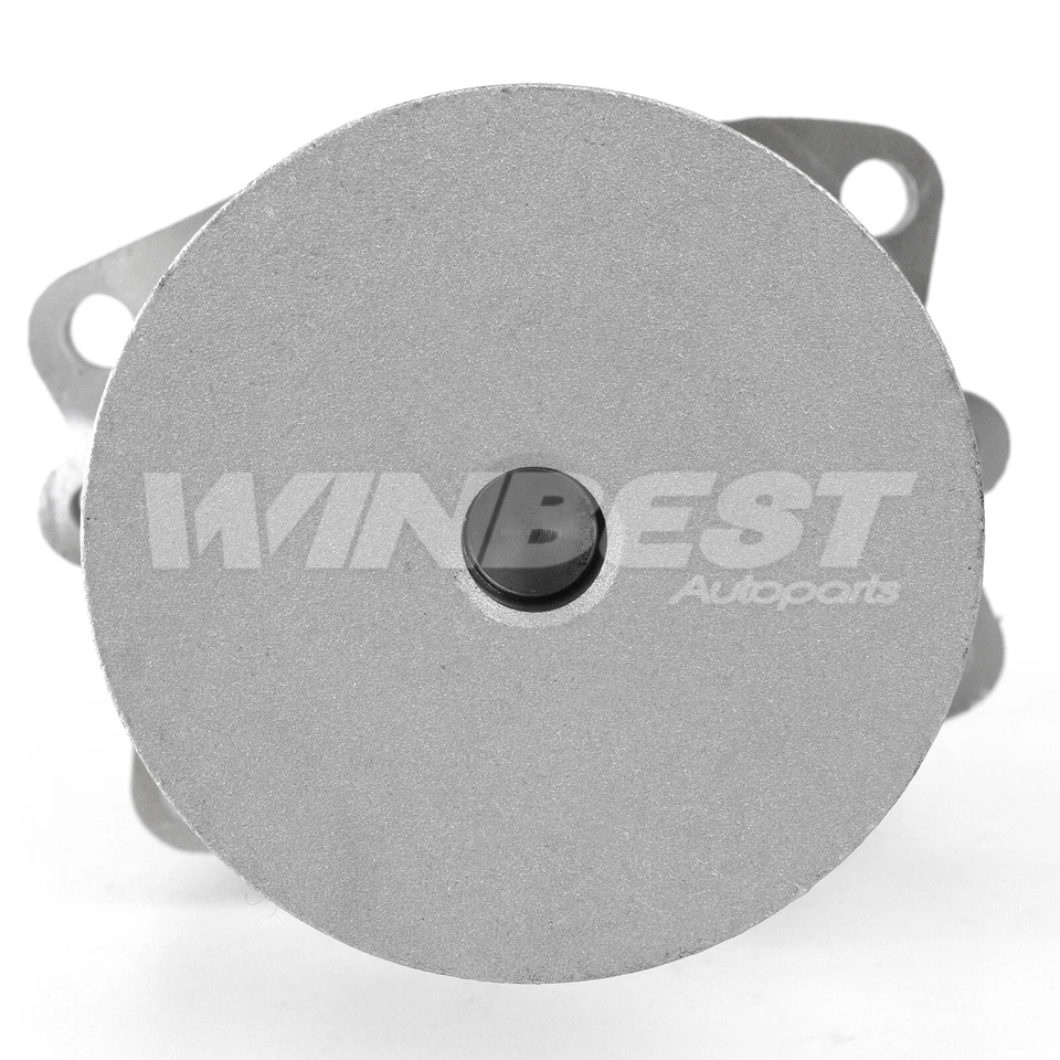 Bomba de agua y termostato para BMW 320i 323Ci 325i 328Ci 330i 528i 530i X3 X5 Z3 Z4 Foto 3 de 4