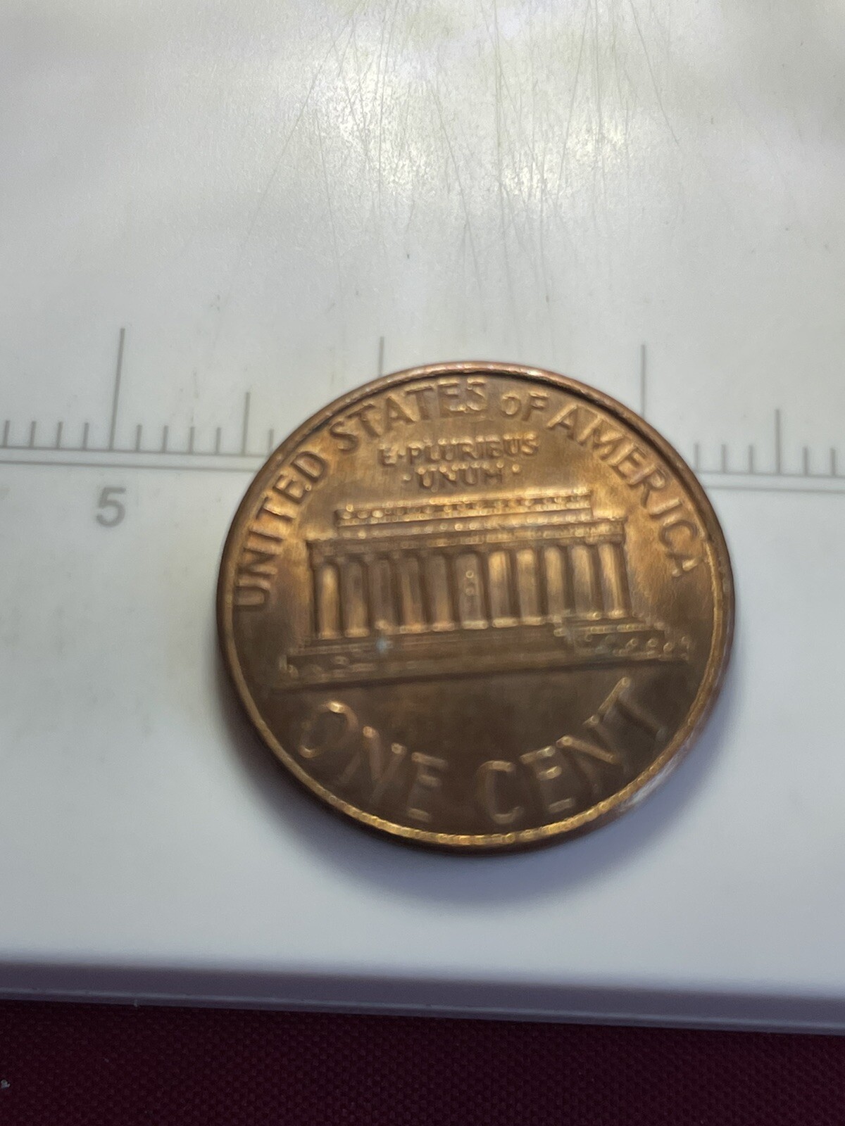 Picture 5 of 20