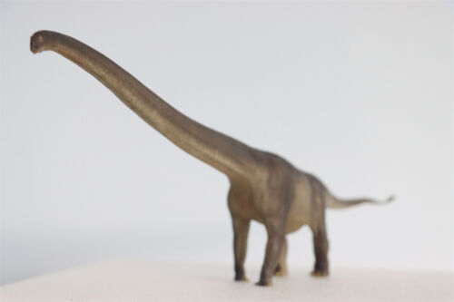PNSO 1:45 Mamenchisaurus ER-MA Figura Sauropoda Modello Dinosauro Giocattolo Animale - Foto 7 di 12