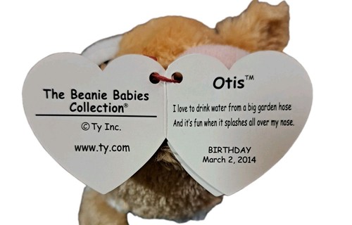 TY Beanie Baby Plüsch - OTIS der walisische Corgi Hund (6 Zoll) MIT ETIKETT - nicht mehr produziert - Bild 4 von 4