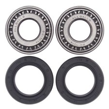 All Balls Rear Wheel Bearing Kit 25-1419