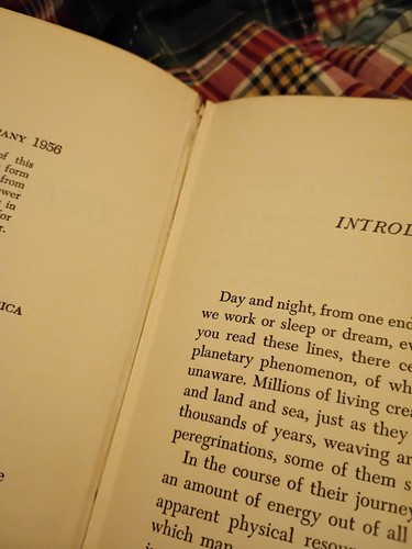 The Great Migration Georges Blond First Printing 1956 - Picture 5 of 6