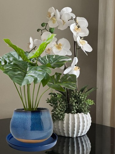 2 Pack Ceramic Plant Saucer Pot Tray 8 Inch, Planter Saucers 4 5 6 7 8 9 10 1... - Picture 5 of 9