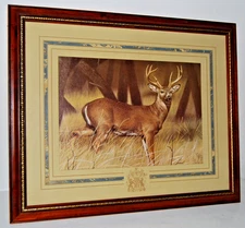 RARE Vtg Home Interiors Homco White-Tailed Deer Picture #8798 Concord 18"x22"