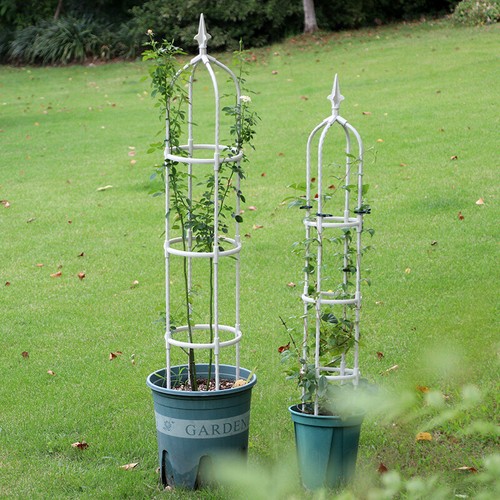 3 Sizes Climbing Plants Metal Garden Obelisk Strong Tubular Plant Cage Support - Picture 9 of 17