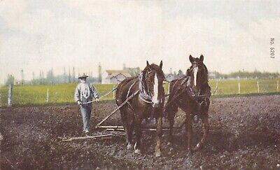 Photo postcard farmer ploughing field with two horses Canada c. 1910 Photo postcard farmer ploughing field with two horses Canada c. 1910