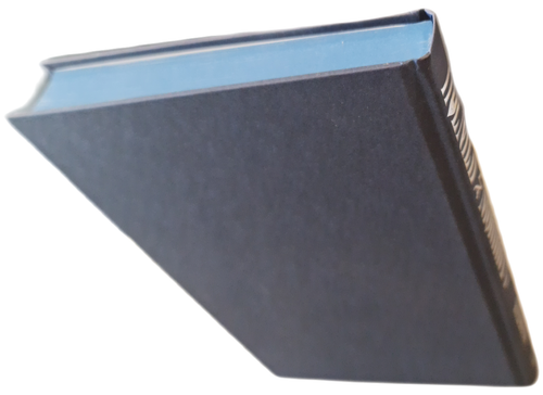 Holmes and Moriarty Gareth Rubin Signed First Edition numbered + Sprayed Edges - Picture 6 of 9