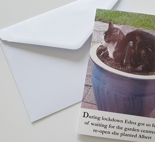 Cat Birthday Card Funny Birthday Card Cat Lover - Picture 2 of 2