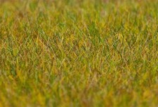 Faller 180484 - H0 / TT / N Streufasern Wiese, hellgrün, 30 g