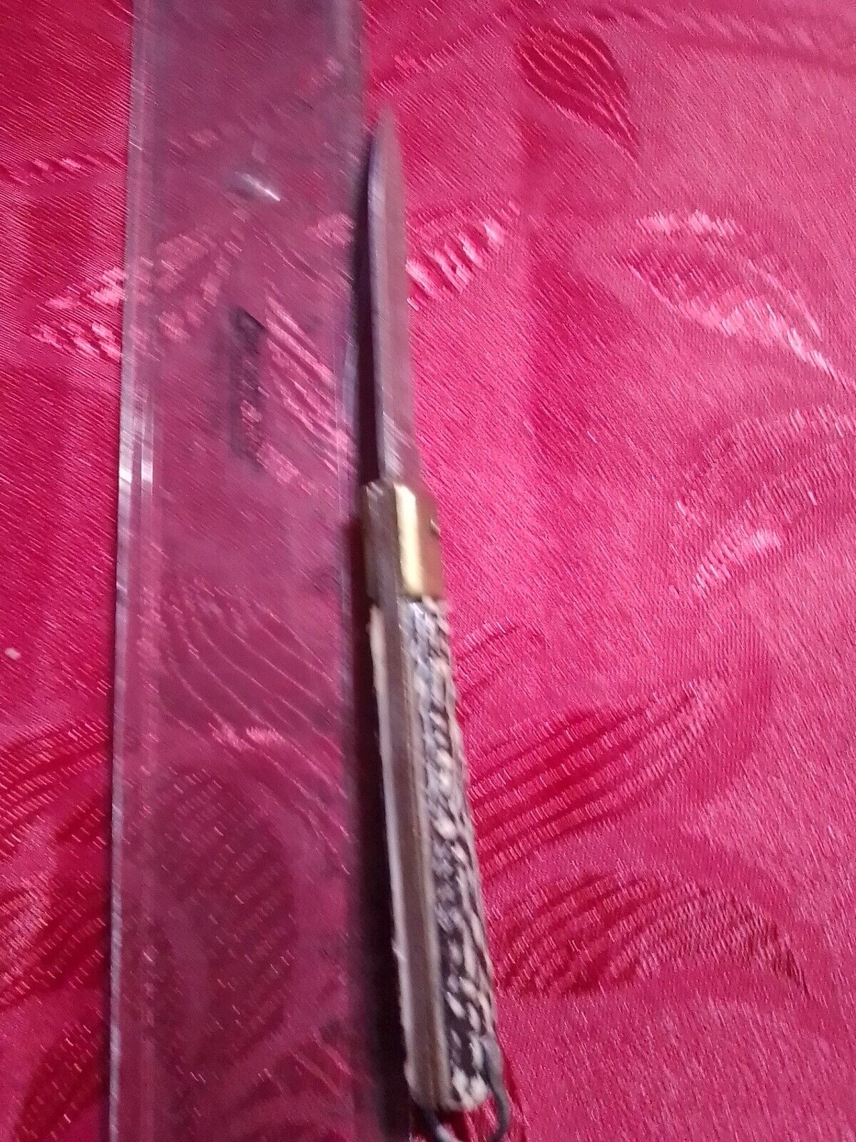Foto 5 di 5