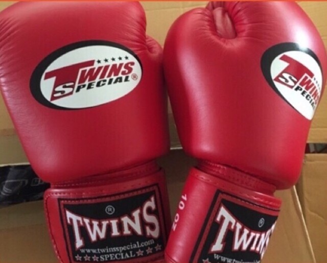 Kick Boxing Gloves for Men Women Karate Muay Thai Fight MMA Training 4-12 OZ New