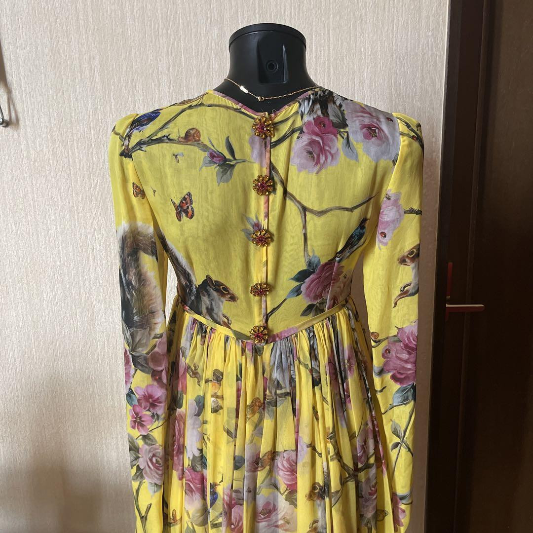 Dolce & Gabbana 38 One Piece Luxury Owl | eBay