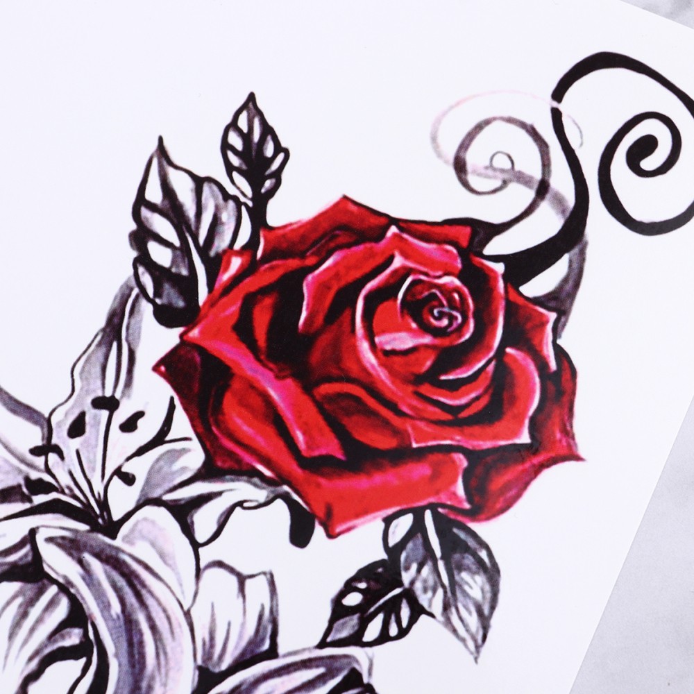 Bild 7 von 11