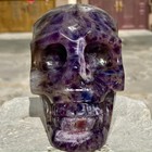Bild 6 von 12