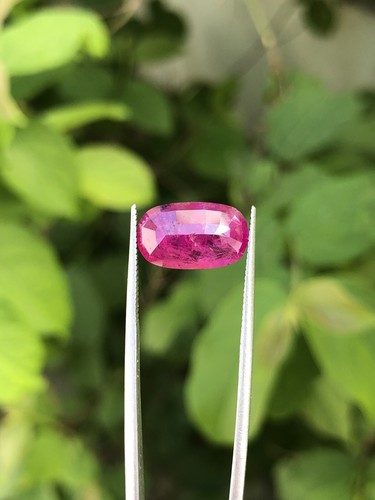 Certified 3.64 CT AFGHANISTAN Ruby Natural Untreated Oval Faceted Loose Gemstone - Bild 11 von 16
