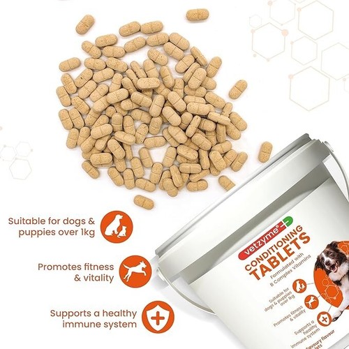 Vetzyme Conditioning Dog Supplements,Promotes Health,Vitality 100-3000 Tablets - Picture 19 of 38