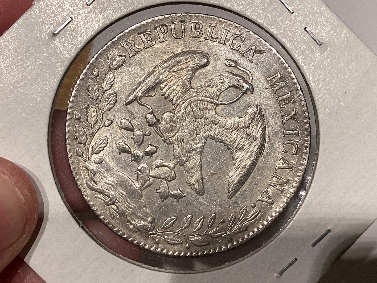 Picture 6 of 6