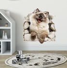 3D White Birman Kitten Wall Decal – Cute Cat Breaking Through Wall Sticker