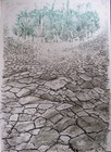 Bild 6 von 15