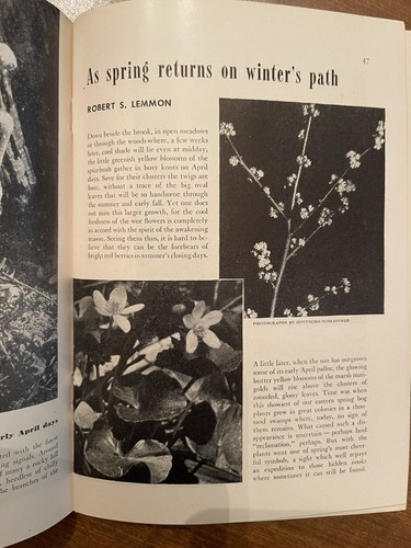 The Home Garden Magazin Buch monatliche Sammlung Samen Blumen März 1946 Vintage - Bild 3 von 6