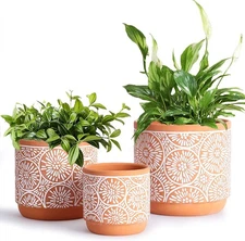 DeeCoo 3 Piece Ceramic Plant pots Indoor Flower Pots Set with Drainage Holes,...