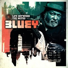 Bluey Life Between the Notes (CD) Album