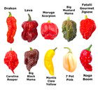 Worlds HOTTEST Chilli - 55 Seeds - 10 Varieties - Carolina Reaper + FREE Seeds
