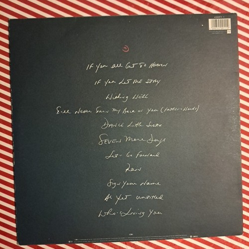 TERENCE TRENT D'ARBY Vorstellung der Hardline laut LP Vinyl Album EX - Bild 2 von 8