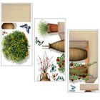  Butterfly Wall Decor Stickers Floral Decals Bonsai Mural Decoration