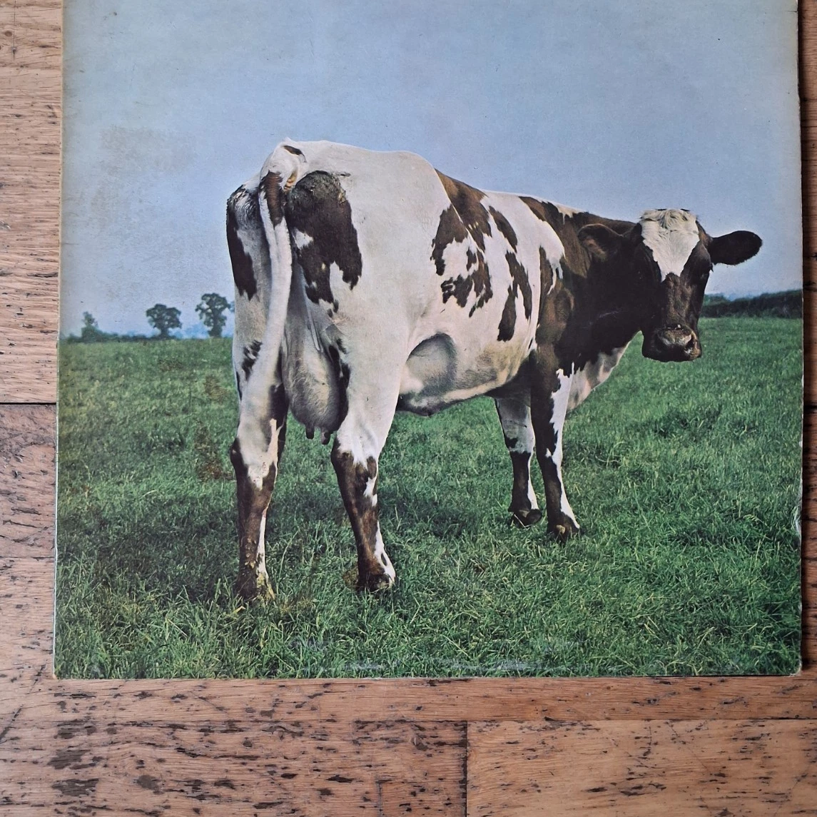 Atom Heart Mother Lp for sale | eBay UK