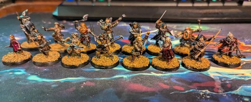 Games Workshop LOTR/Hobbit Thorin's Company Pro Painted MESBG Miniatures