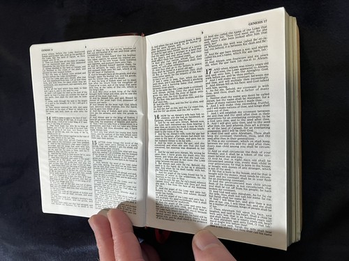 HOLY BIBLE KING JAMES Self-Pronouncing Red-Letter Ed JERUSALEM OLIVE WOOD - Imagen 10 de 22