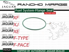 JAGUAR OEM 2010-2019 XJ 5.0L-V8 Fuel System-Flange Seal C2Z7361