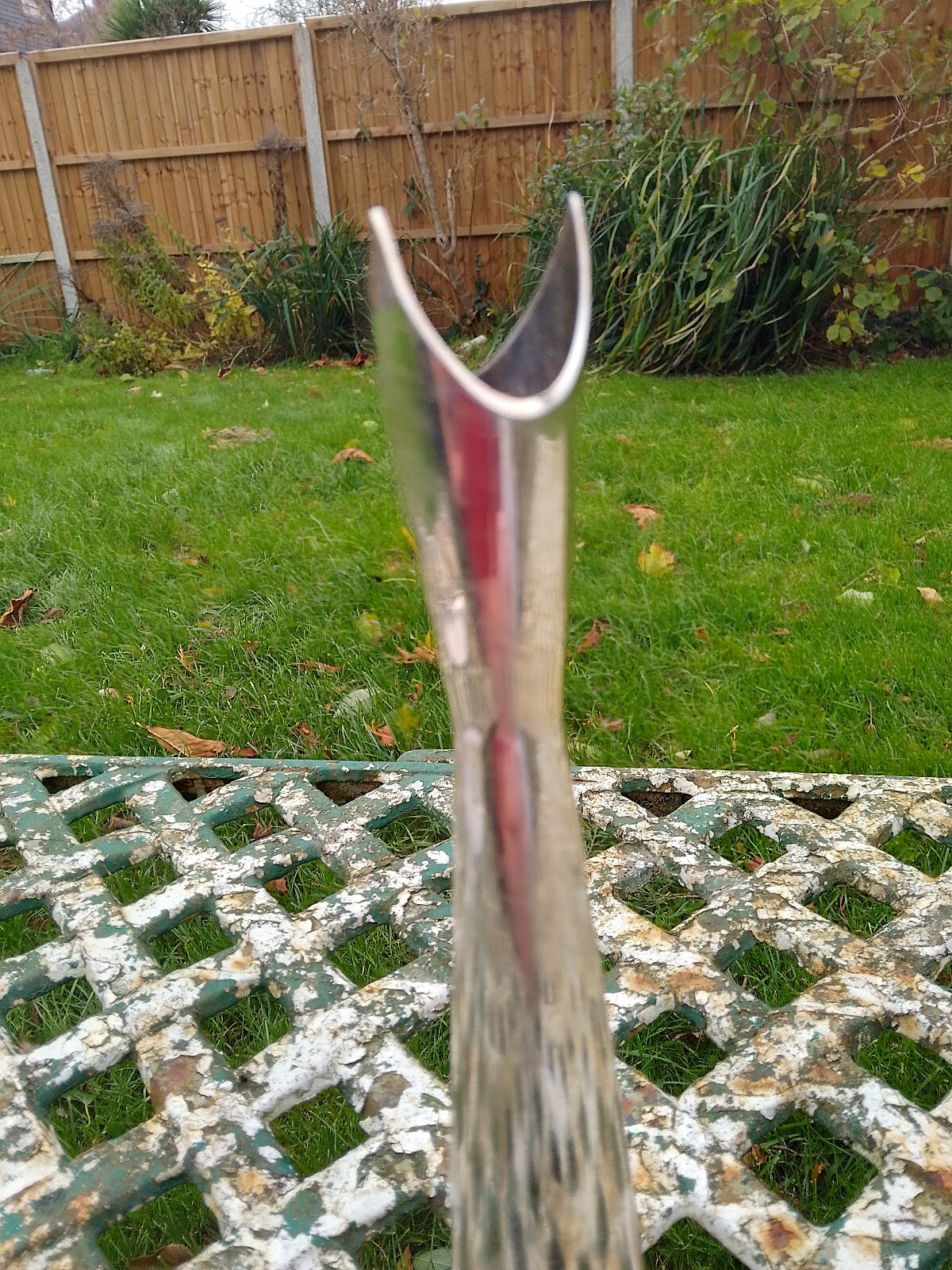 Picture 5 of 13