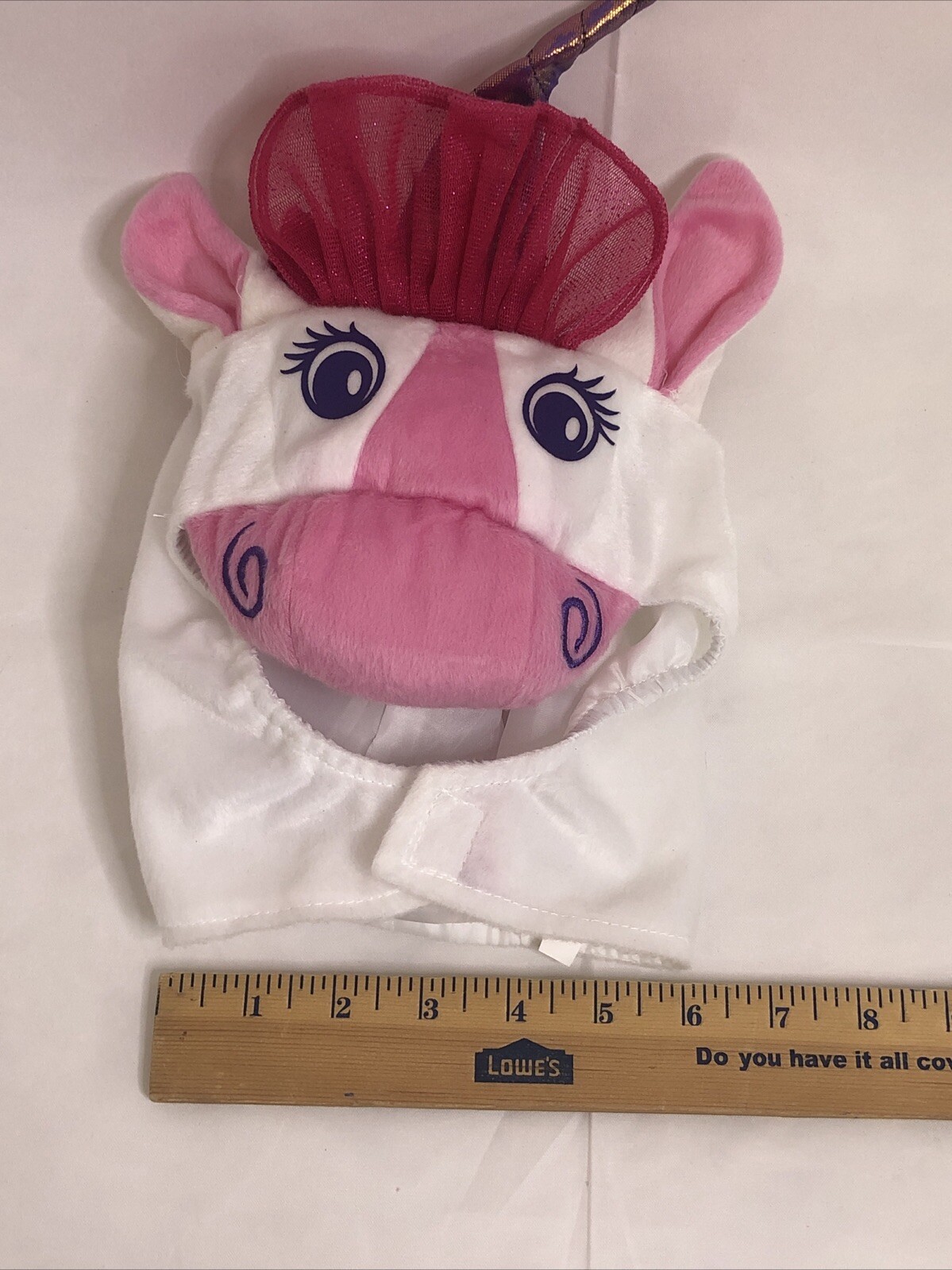 Picture 9 of 19