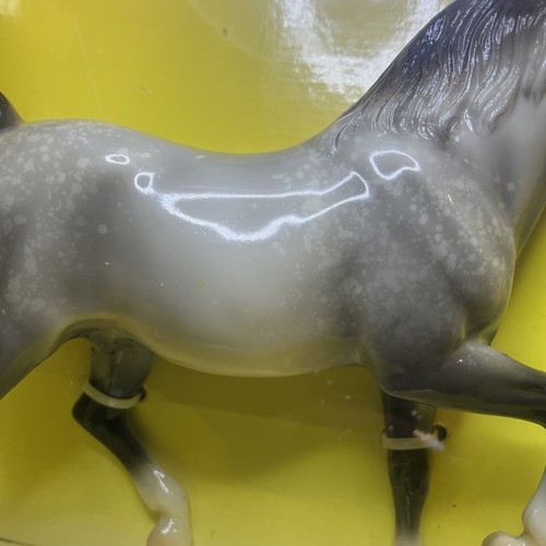 Breyer #1103 Pippin 2000 Collectors Edition Glossy Grey Arabian Stallion NIB - 第 6/12 張圖片