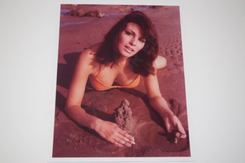 Raquel Welch pinup 8x10 glossy photo Busty Sexy Gorgeous Cleavage 0059