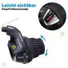 Bild 3 von 19