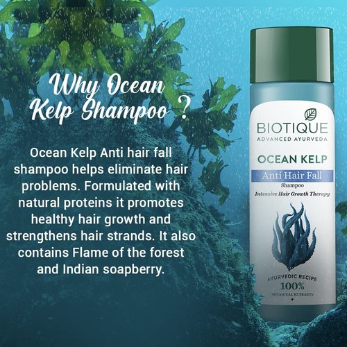 Biotique Ocean Kelp Anti Hair Fall Shampoo Intensive Hair Growth Therapy - Picture 4 of 14