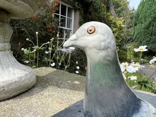 Beswick - Beswick Grey Pigeon Porcelain Figurine No 1383 Gloss Finish - Picture 5 of 9