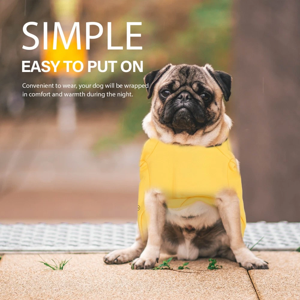 VETEMENTS Abbigliamento Per Animali Domestici Signorina Abbigliamento per Cani Piccoli Outfit per Cani