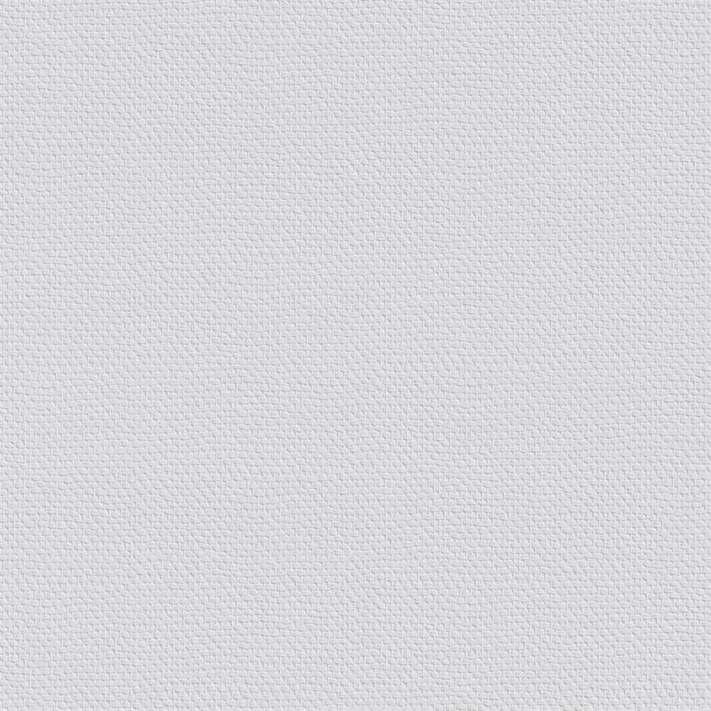 1 Ролик ERFURT VLIESFASER PROTECT 205 ДЛЯ ЗАЩИТЫ стен 10,05 x 0,53м