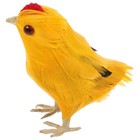 Huhn Ornament Simulation Huhn Simulation Küken Ornament Küken Dekoration