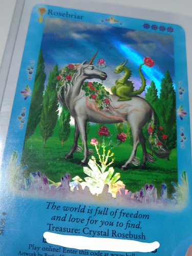 Bella Sara Treasures Rosebriar Foil card S41/55 - Picture 3 of 4